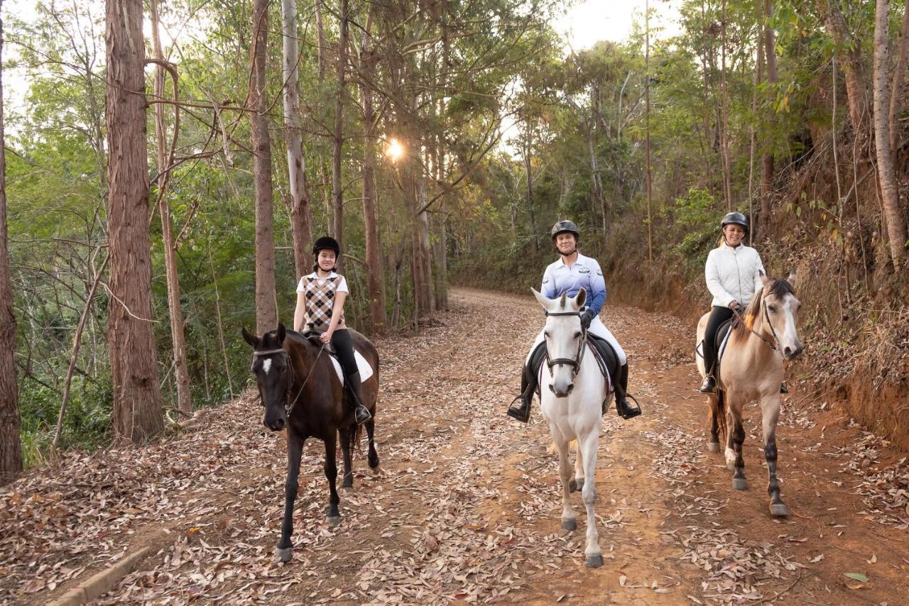 Haras Morena Resort Juiz de Fora Exteriér fotografie